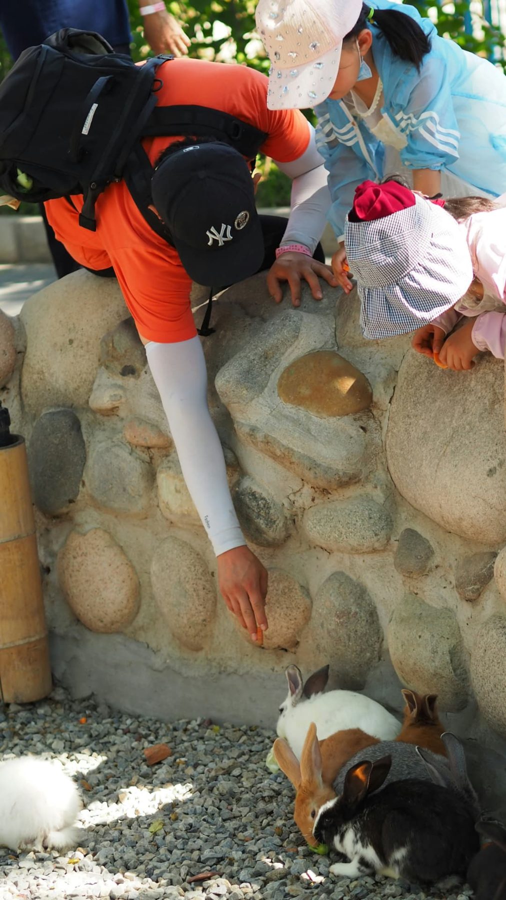 Families delighting in an up-close encounter with rabbits