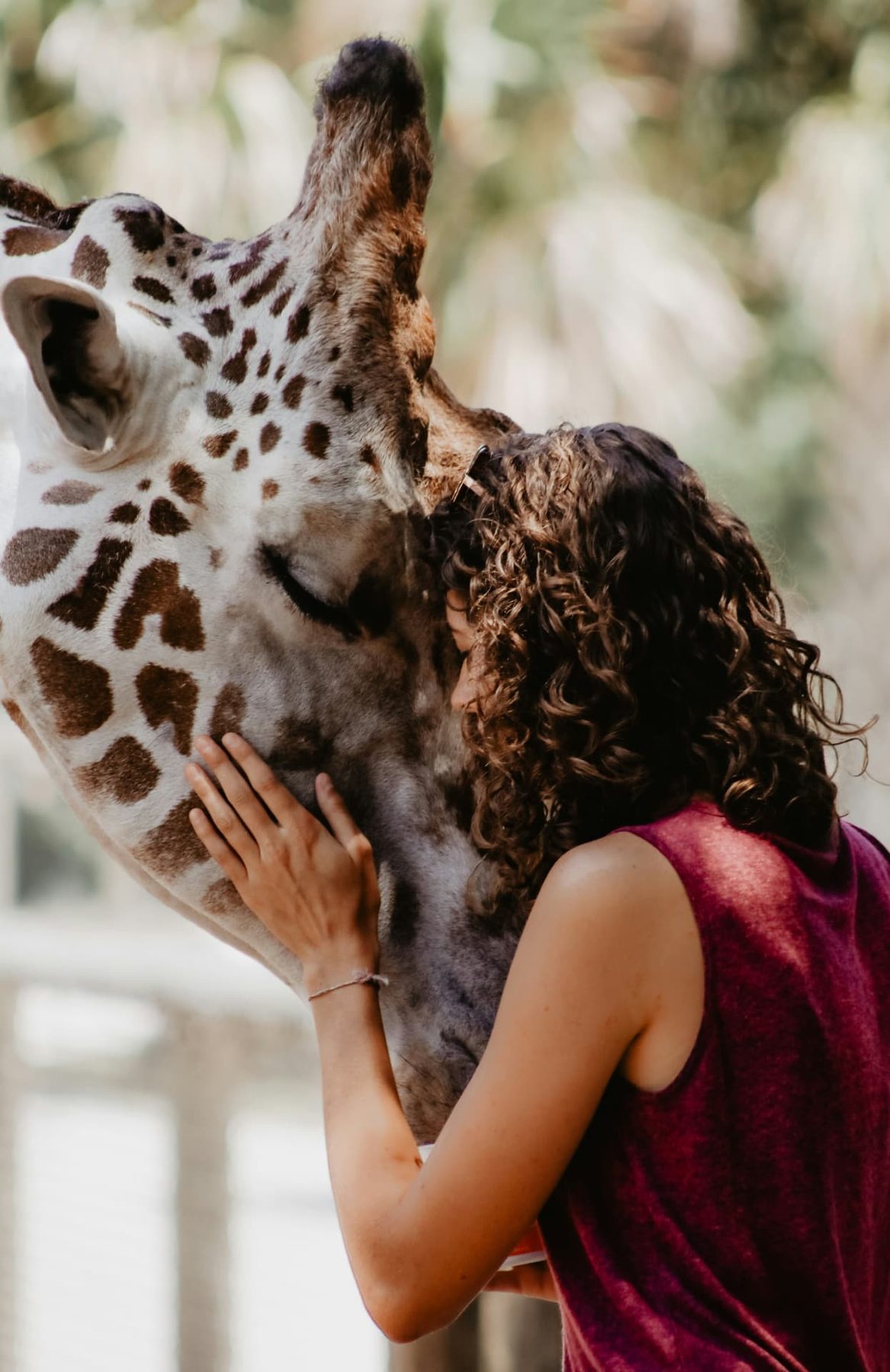 A guest sharing a close moment with a giraffe